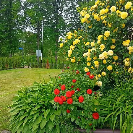 Apartament-pokoje Gościnne U Natalii Apartament